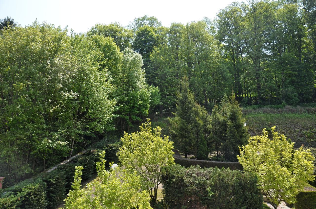 Hotel Et Studios D'Orfeuil Bourbonne-les-Bains Dış mekan fotoğraf